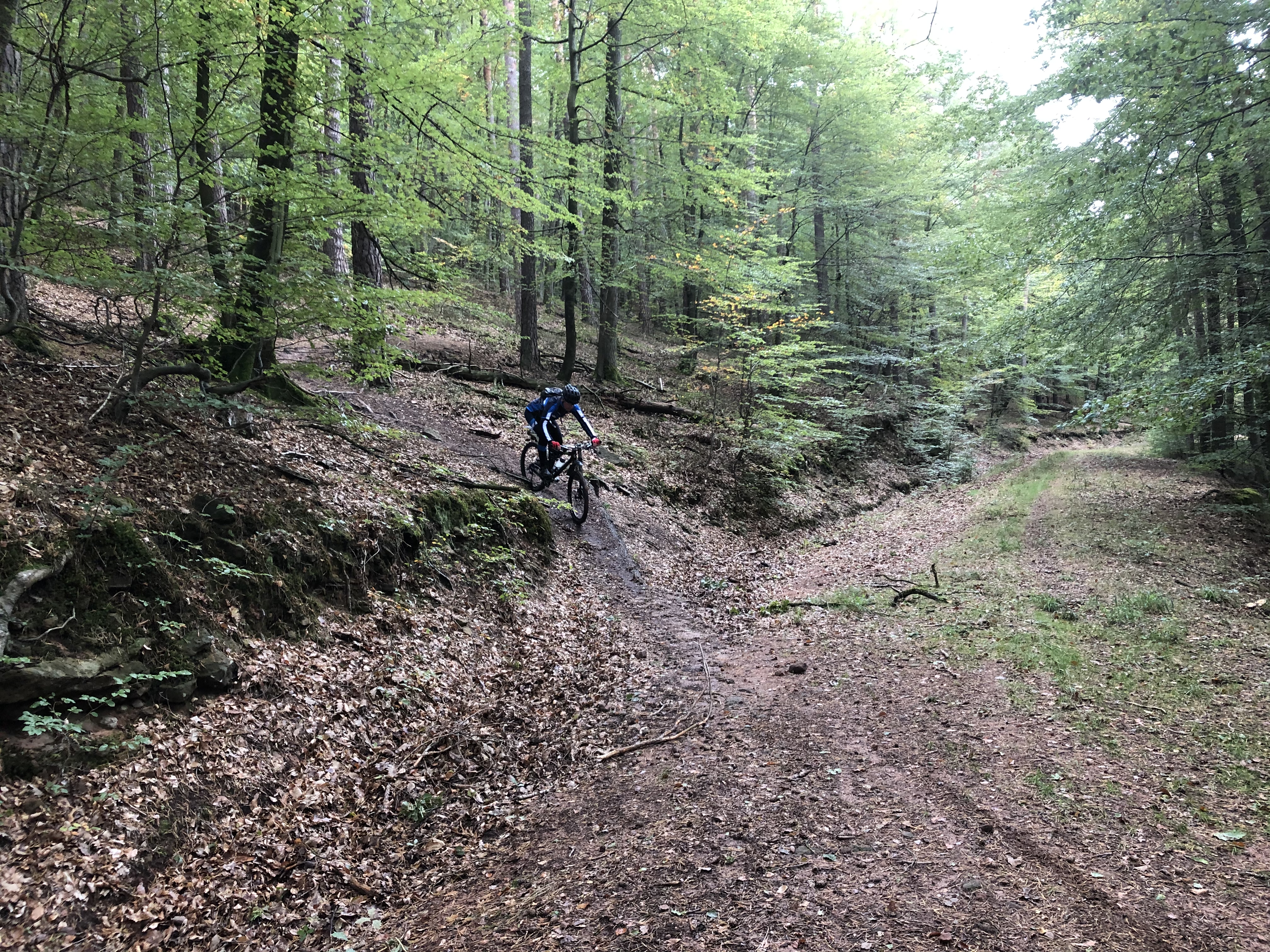 Mountainbiketour, Foto: Bernd Doelp (2019)